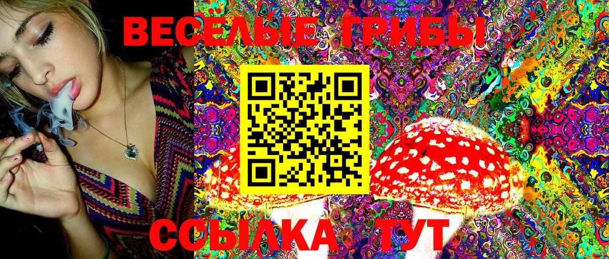 Галлюциногенные грибы Psilocybine cubensis Александров