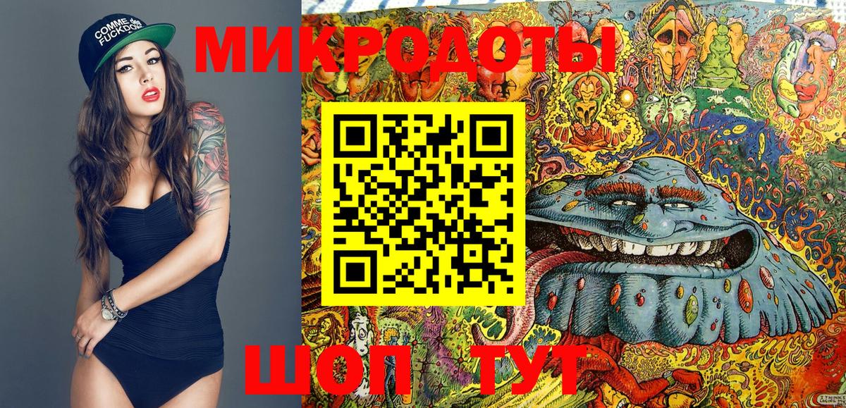 Псилоцибиновые грибы ЛСД  наркотики  Псилоцибиновые грибы Cubensis  Александров  Вход с VPN 